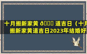 十月搬新家黄 🕊 道吉日（十月搬新家黄道吉日2023年结婚好吗）